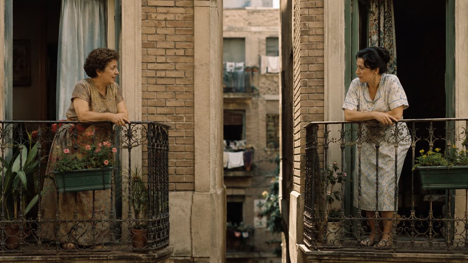 Balcony Friendships And Neighbourhood Trust