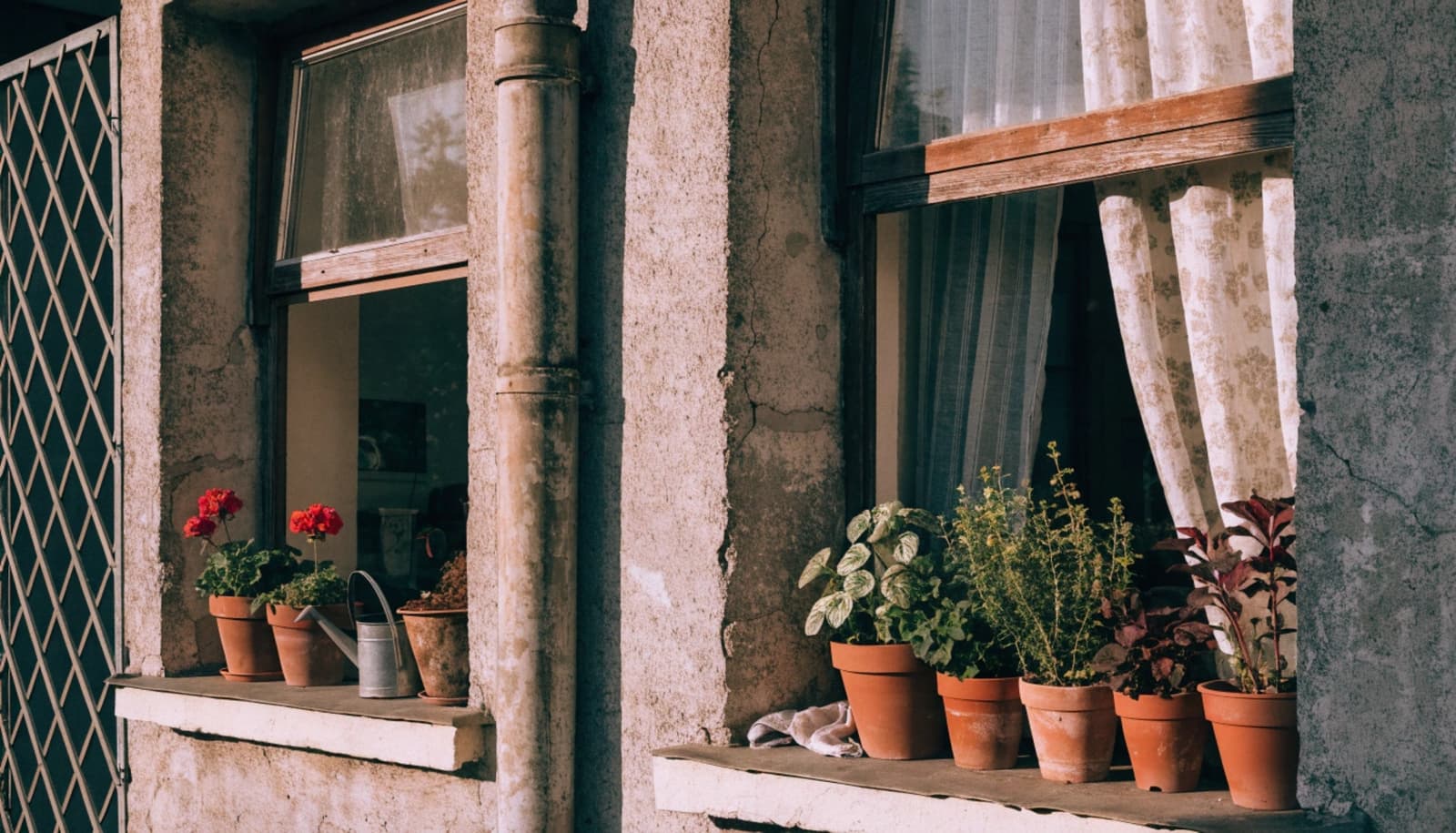 Flowerpots On Window Sills